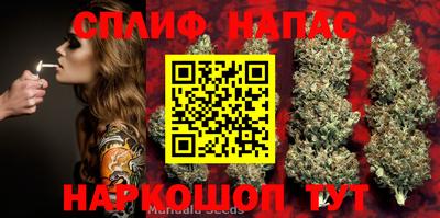 гидропоника Волжский