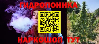 индика Волжск