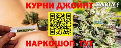 индика Волжск