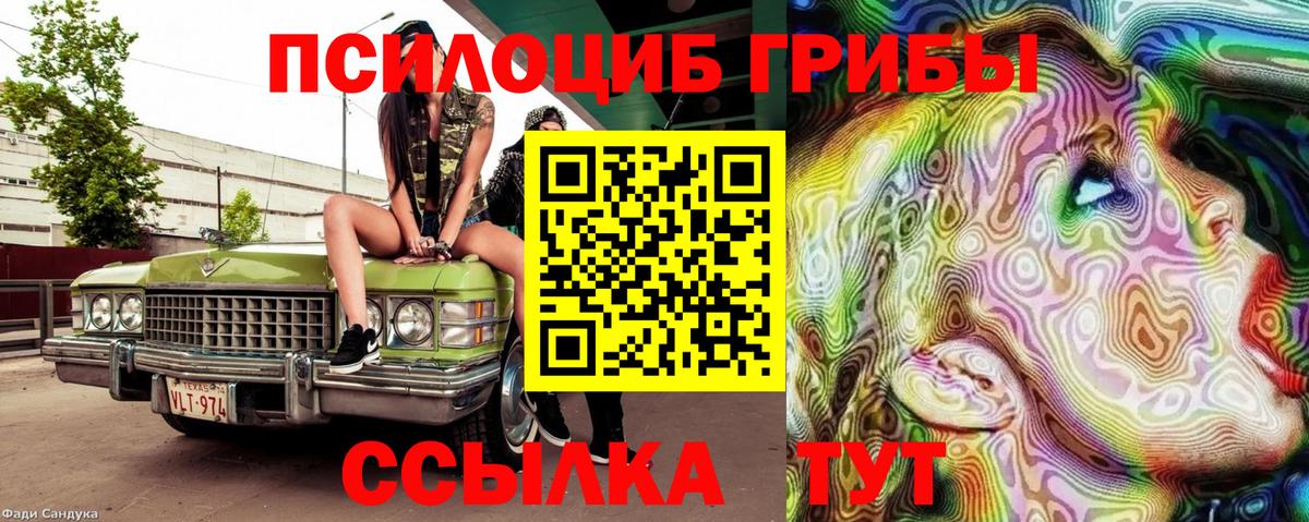 Галлюциногенные грибы MAGIC MUSHROOMS Богородск