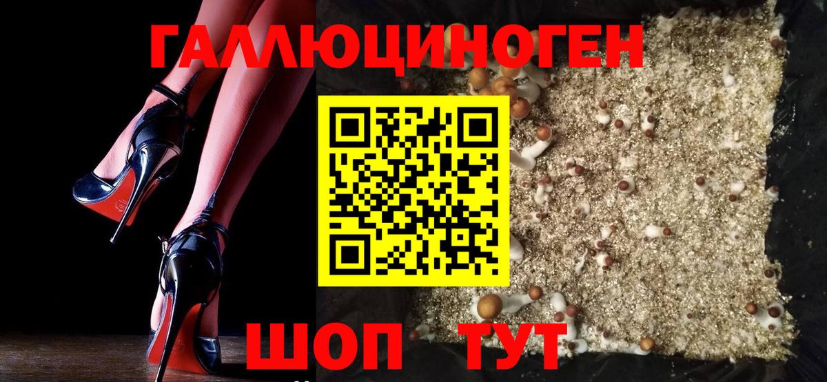 Галлюциногенные грибы мицелий  Вход с VPN  Псилоцибиновые грибы Psilocybine cubensis  Богородск 